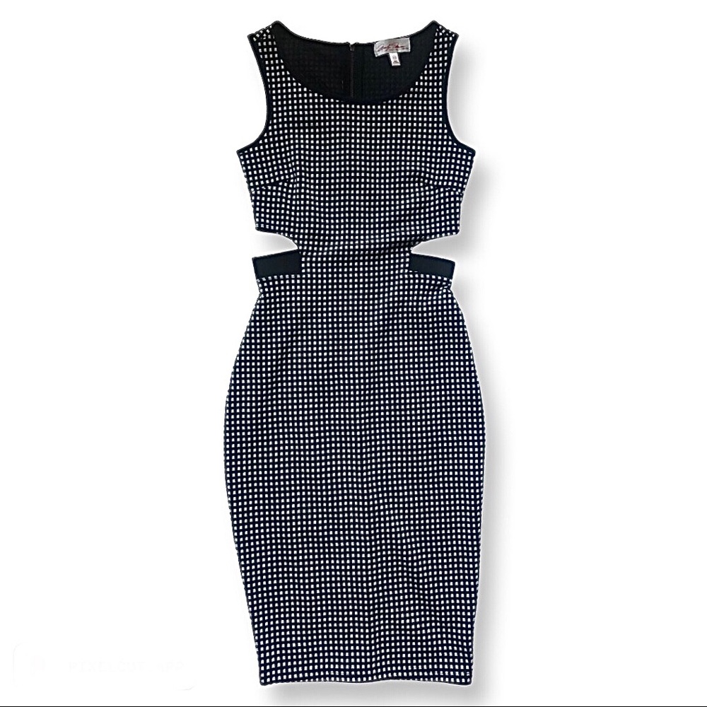 Fitted Black and White Dress